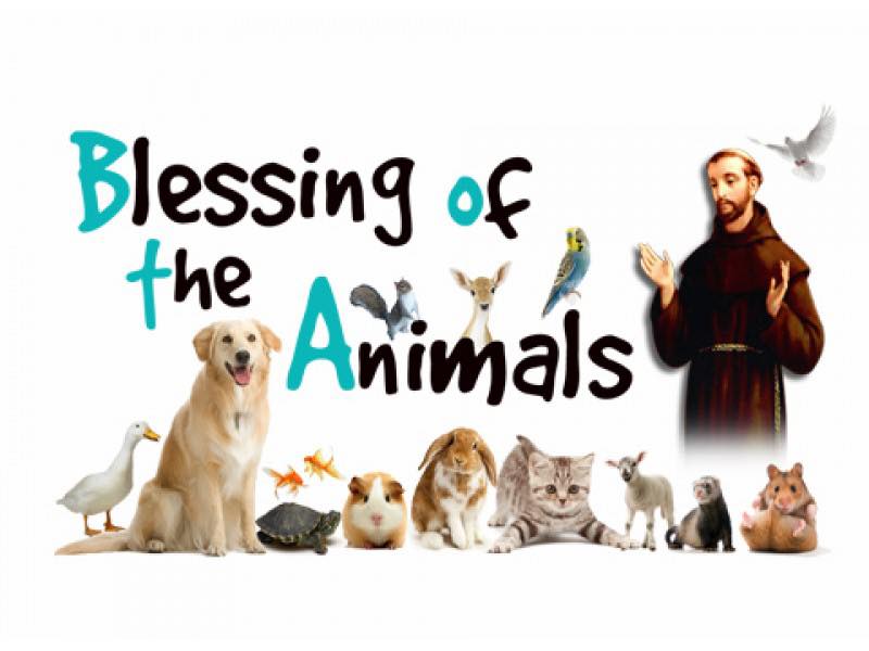 Blessing of the animals 2025 Parish of Lower Ottawa Valley Blessing of the animals 2025 Parish of Lower Ottawa Valley